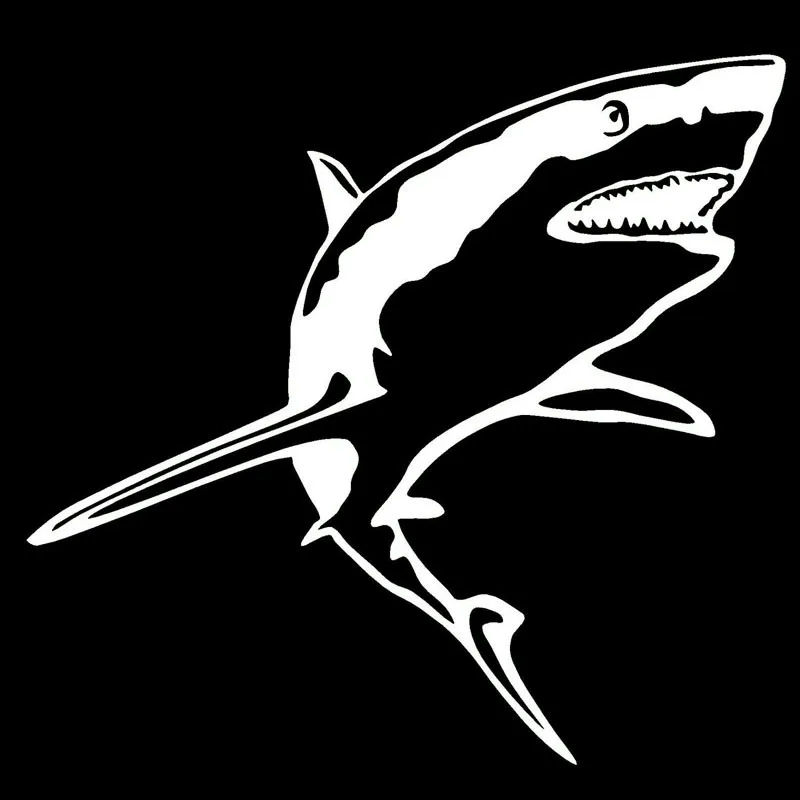 2x Shark Hai Schriftzug Die Cut Fun Decal Sticker 15cm Fisch